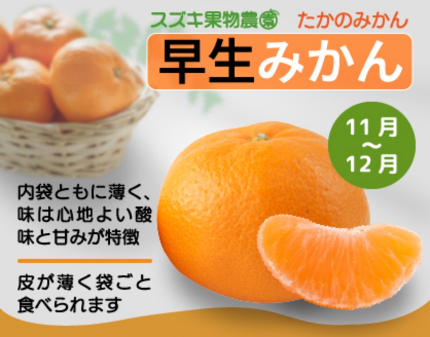 たかのみかん：早生