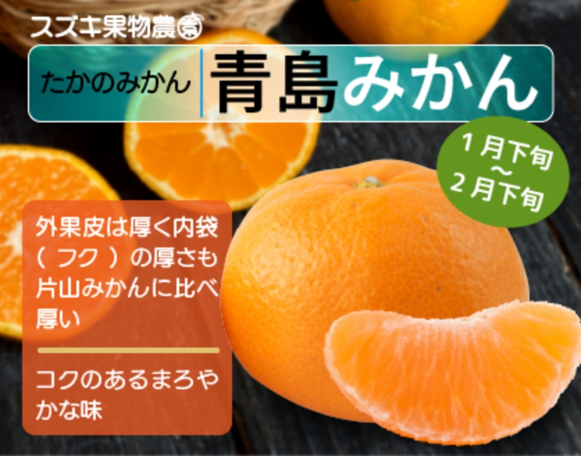 たかのみかん：青島