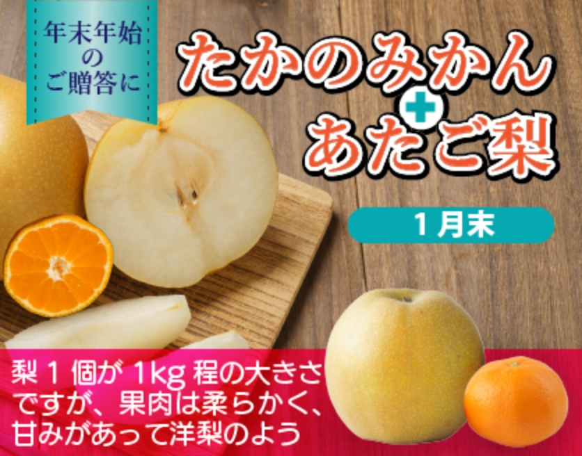 たかのみかんとあたご梨