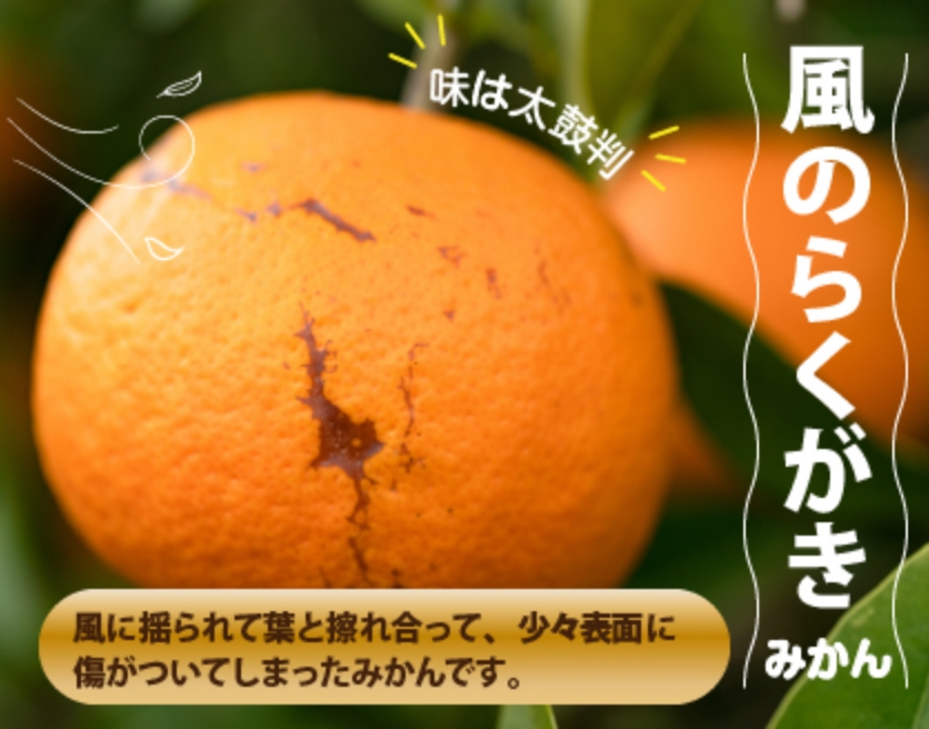風のらくがき