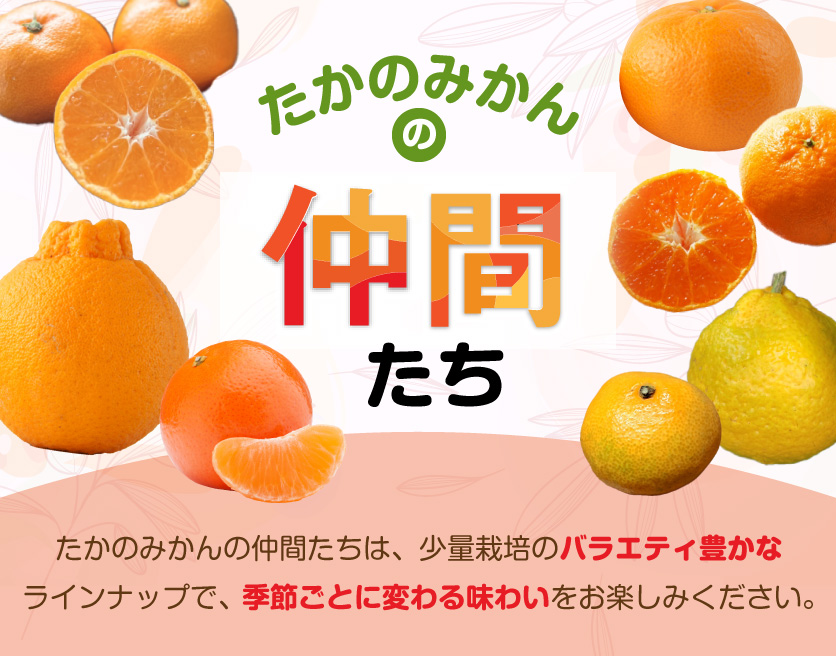 たかのみかんの仲間たち
